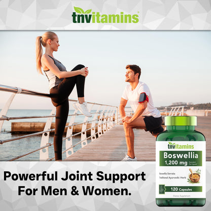 tnvitamins Boswellia Extract Capsules, 120 Count | 1,200 mg Per Capsule | 65% Boswellic Acids + 10:1 Concentrated Extract | Boswellia Serrata - Maple Wellness Supplements