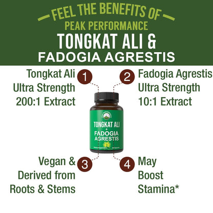 Tongkat Ali + Fadogia Agrestis 2-in-1 T Supplement for Men. Ultra High Strength Tongkat-Ali Longjack Extract + Fadogia Agrestis Extract. Vegan Capsules. Support Natural Energy. USA Tested Pills - Maple Wellness Supplements