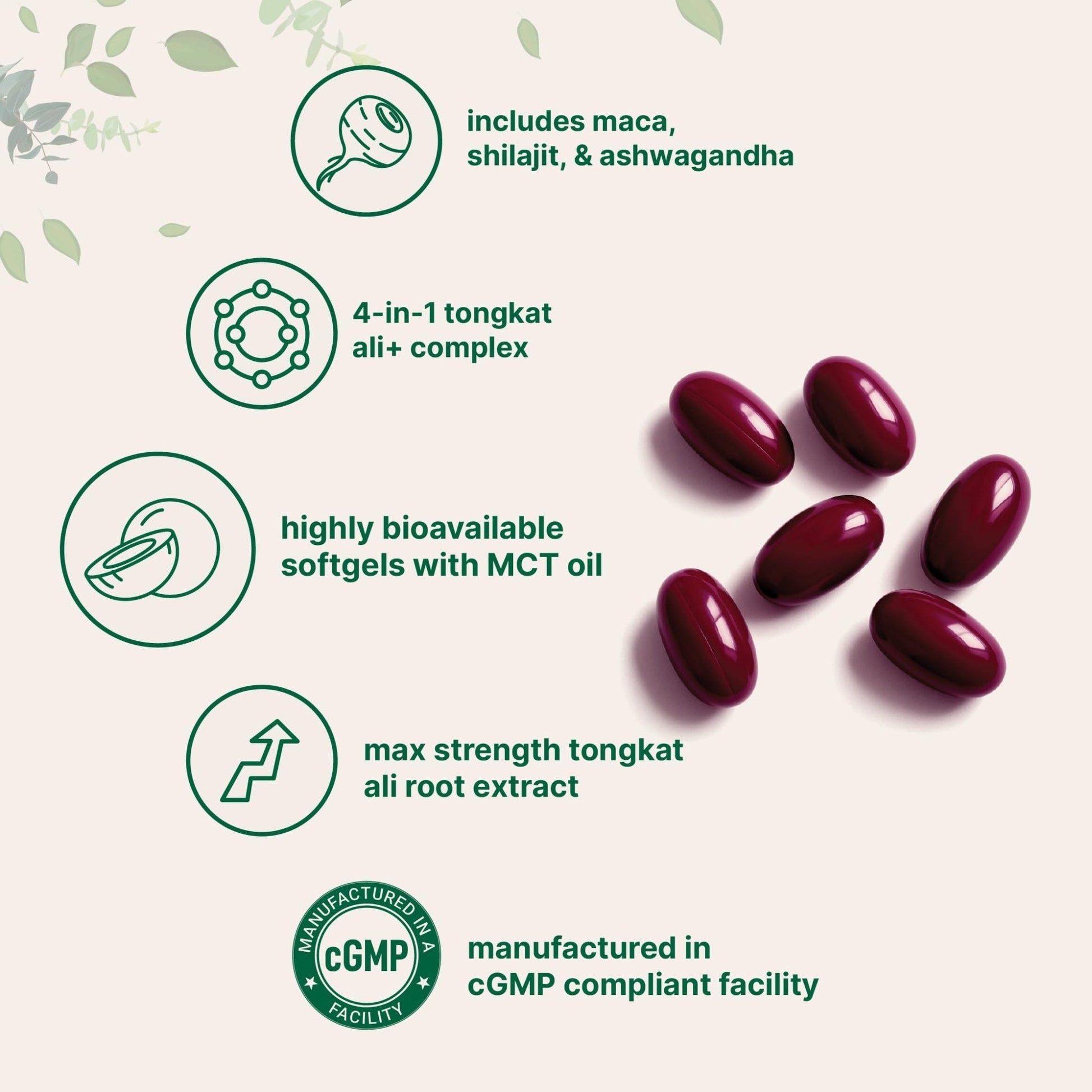 Tongkat Ali+ for Men with Maca, Shilajit, & Ashwagandha | 240 Softgels with MCT Oil for Better Absorption | Max Strength Eurycoma Longifolia Extract (Longjack) | Non-GMO, Gluten Free - Maple Wellness Supplements