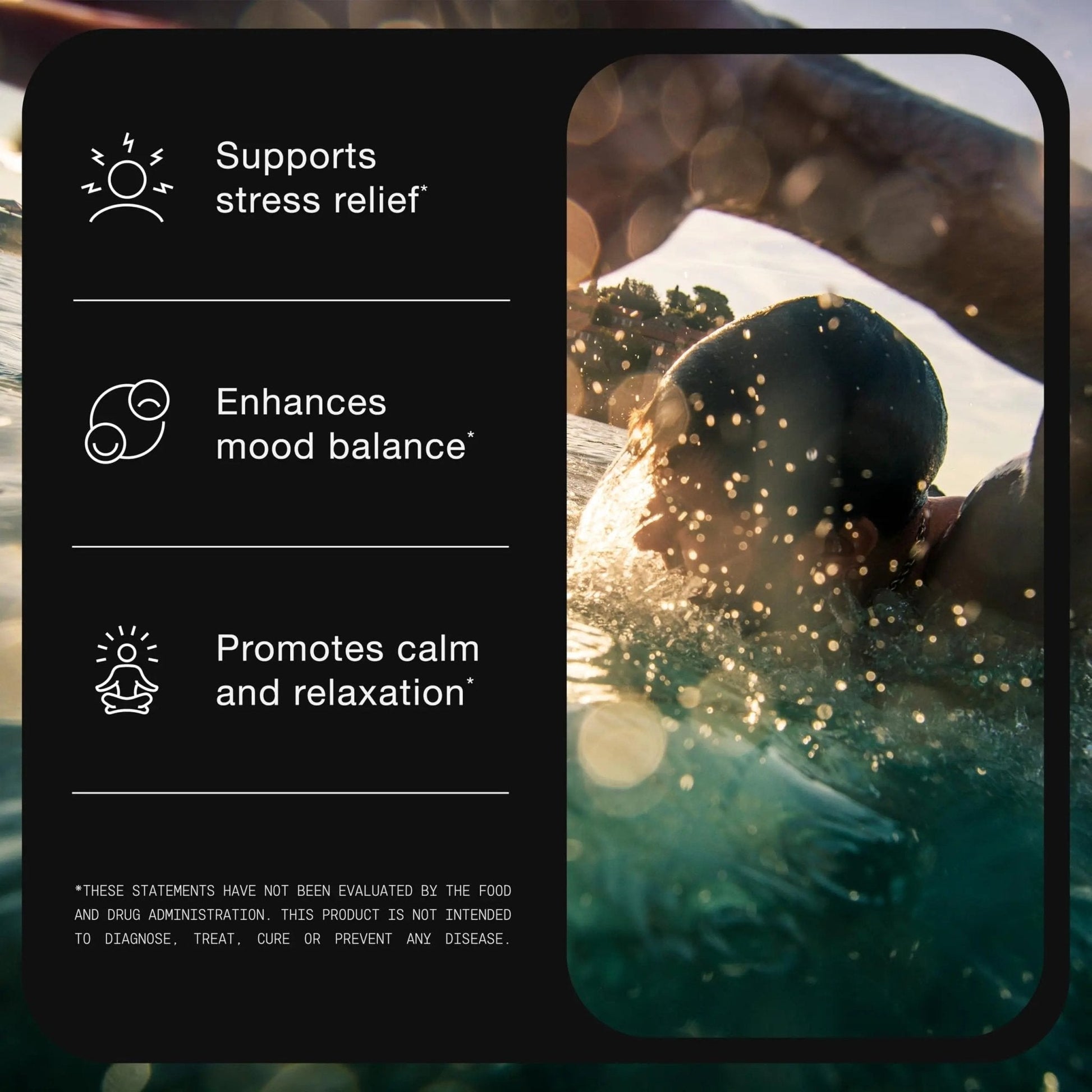 Toniiq Ashwagandha – 40:1 Concentrated Extract – 25% Withanolides – Wild Harvested in India – Highly Bioavailable with Black Pepper – Third-Party Tested – 120 Capsules - 1,300mg per Serving - Maple Wellness Supplements