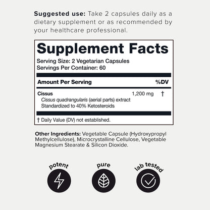Toniiq Cissus Quadrangularis Capsules - Min. 40% Ketosteroids - Ultra High Strength Tendon and Joint Support Supplement - 1200mg Concentrated Cissus Extract - Wild Harvested in India - 120 Caps - Maple Wellness Supplements
