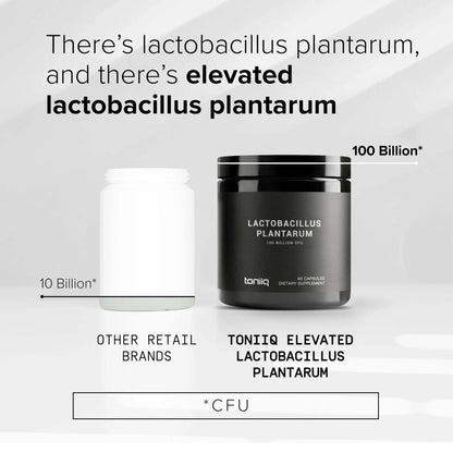 Toniiq Lactobacillus Plantarum – 100 Billion CFU High-Strength Single-Strain Probiotic with FOS – Delayed-Release Veggie Capsules – Third-Party Tested Potency – 60 Capsules - Maple Wellness Supplements