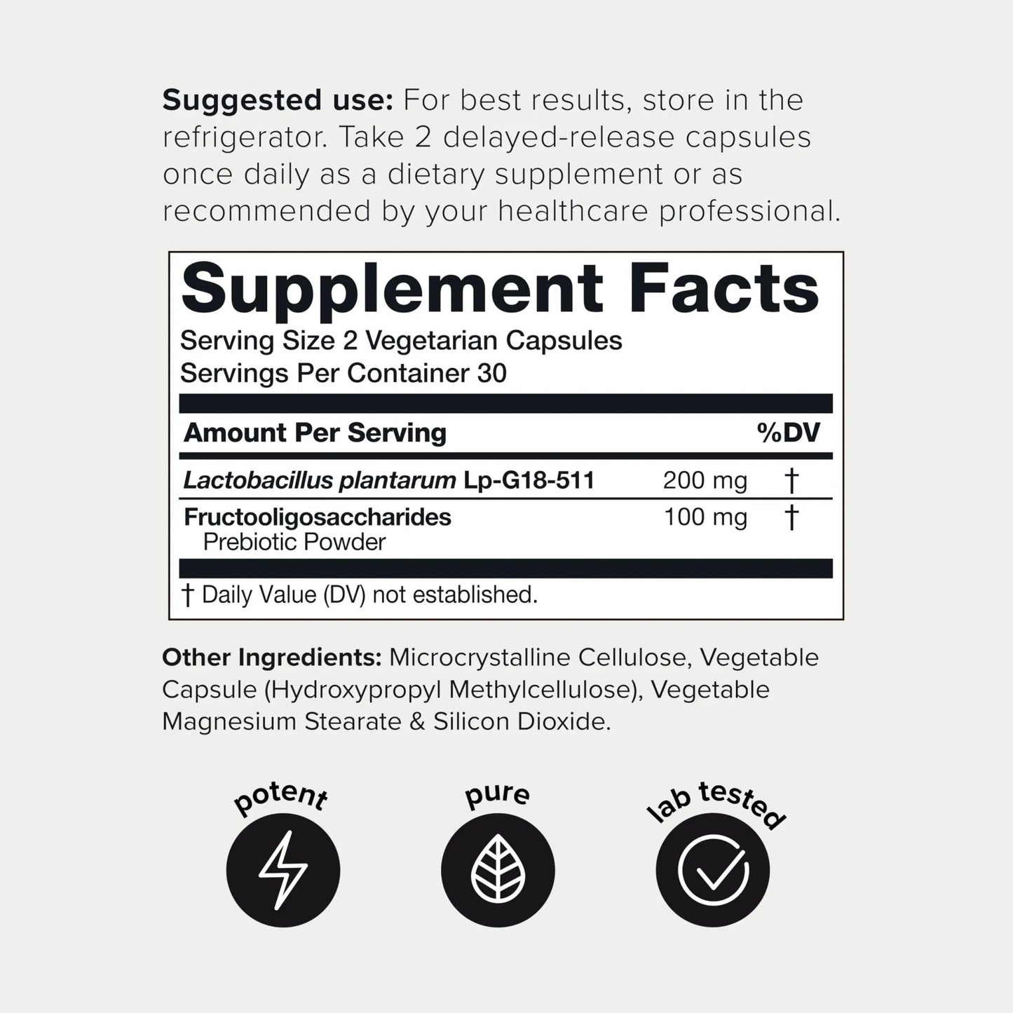 Toniiq Lactobacillus Plantarum – 100 Billion CFU High-Strength Single-Strain Probiotic with FOS – Delayed-Release Veggie Capsules – Third-Party Tested Potency – 60 Capsules - Maple Wellness Supplements