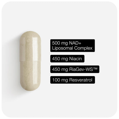 Toniiq Liposomal NAD+ and Resveratrol Supplement - 1500mg Ultra High Strength NAD Supplement - Clinically Studied Ingredients with Patented RiaGev-WS - Maple Wellness Supplements