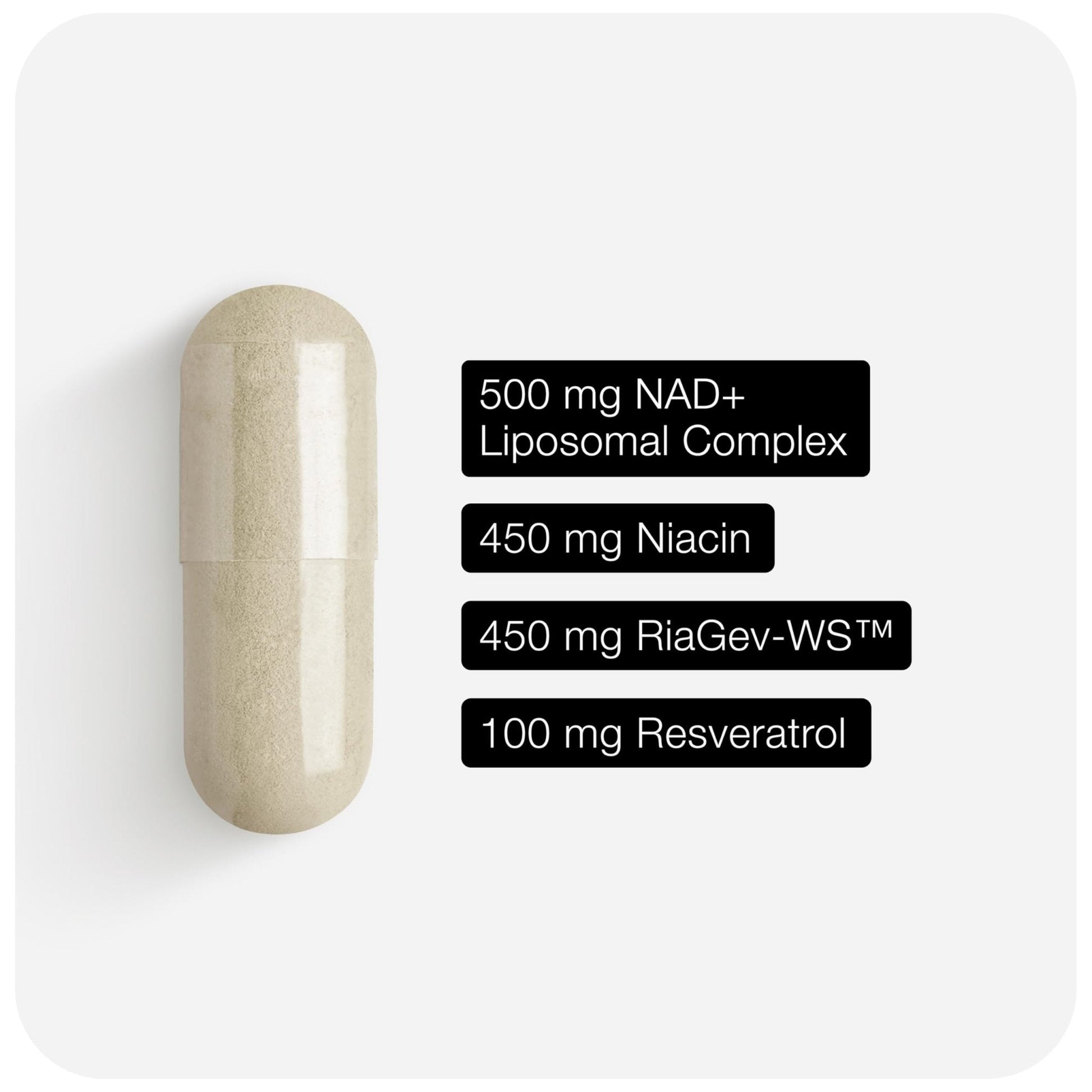 Toniiq Liposomal NAD+ and Resveratrol Supplement - 1500mg Ultra High Strength NAD Supplement - Clinically Studied Ingredients with Patented RiaGev-WS™, Resveratrol, and Niacin - 60 Capsules - Maple Wellness Supplements