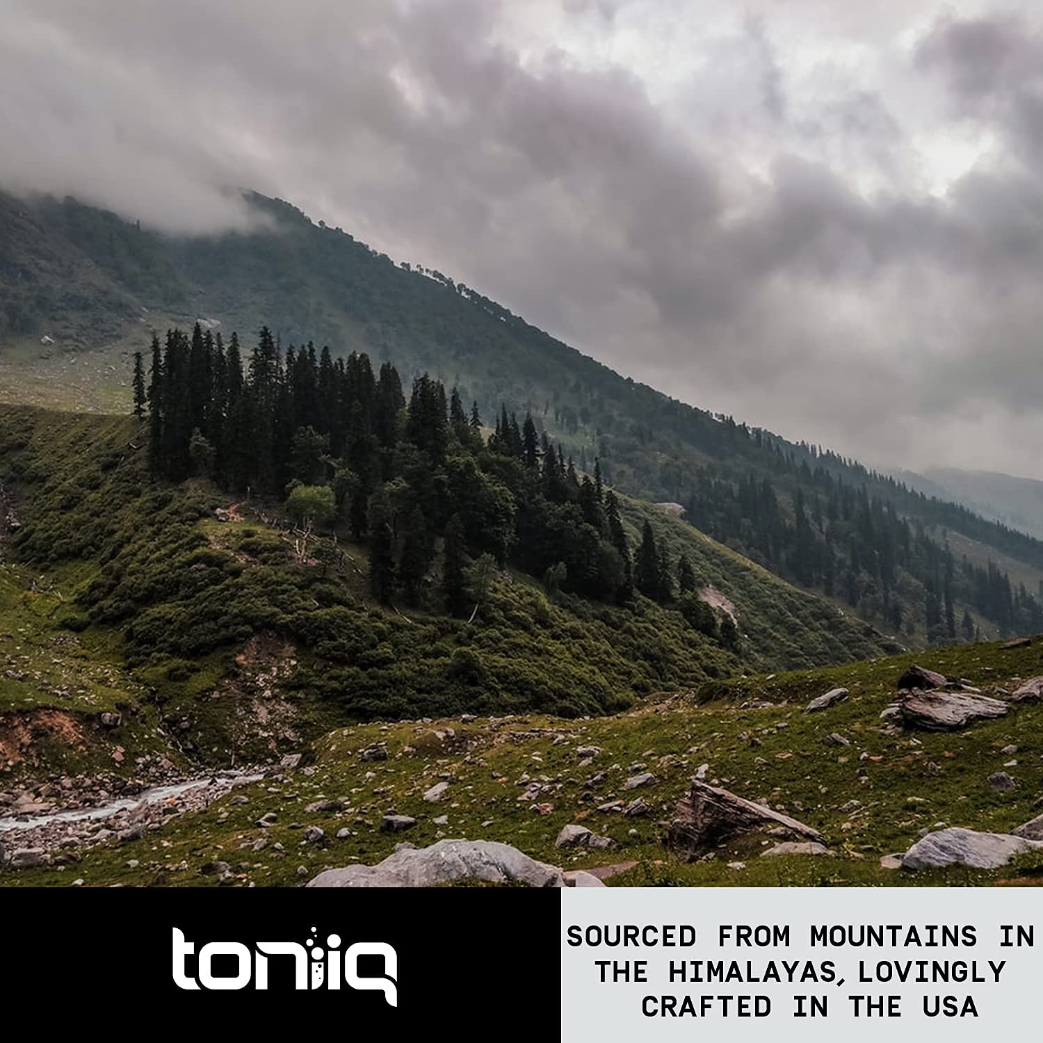 Toniiq Ultra High Strength Berberine HCl 500mg from The Himalayas - Berberine Suppleme - Maple Wellness Supplements