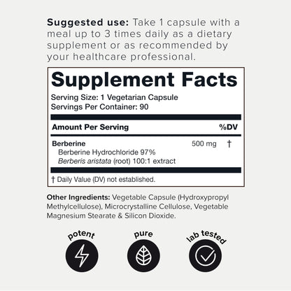 Toniiq Ultra High Strength HCl from The Himalayas - 100:1 Concentrated Extract - Lab-Tested 97% - 90 Vegetarian Capsules - Maple Wellness Supplements
