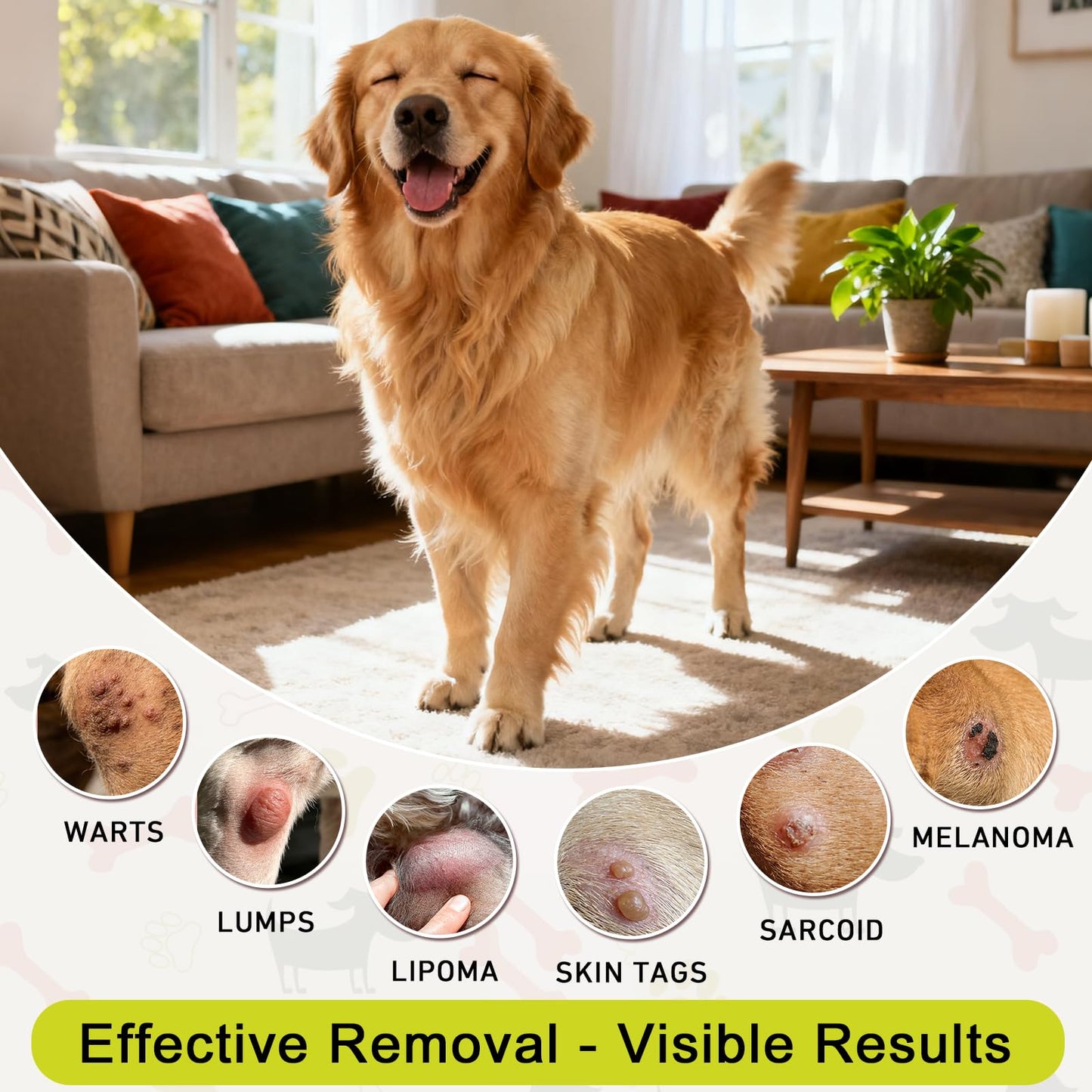 Topical 99.995% DMSO for Dogs Lipoma, Lipoma Treatment for Dogs, Reduce Fatty Lumps and Bumps Inflammation, Swelling, Dog Pain Relief, DMSO in Glass Bottle with Precision Dropper, 1.7 oz - Maple Wellness Supplements