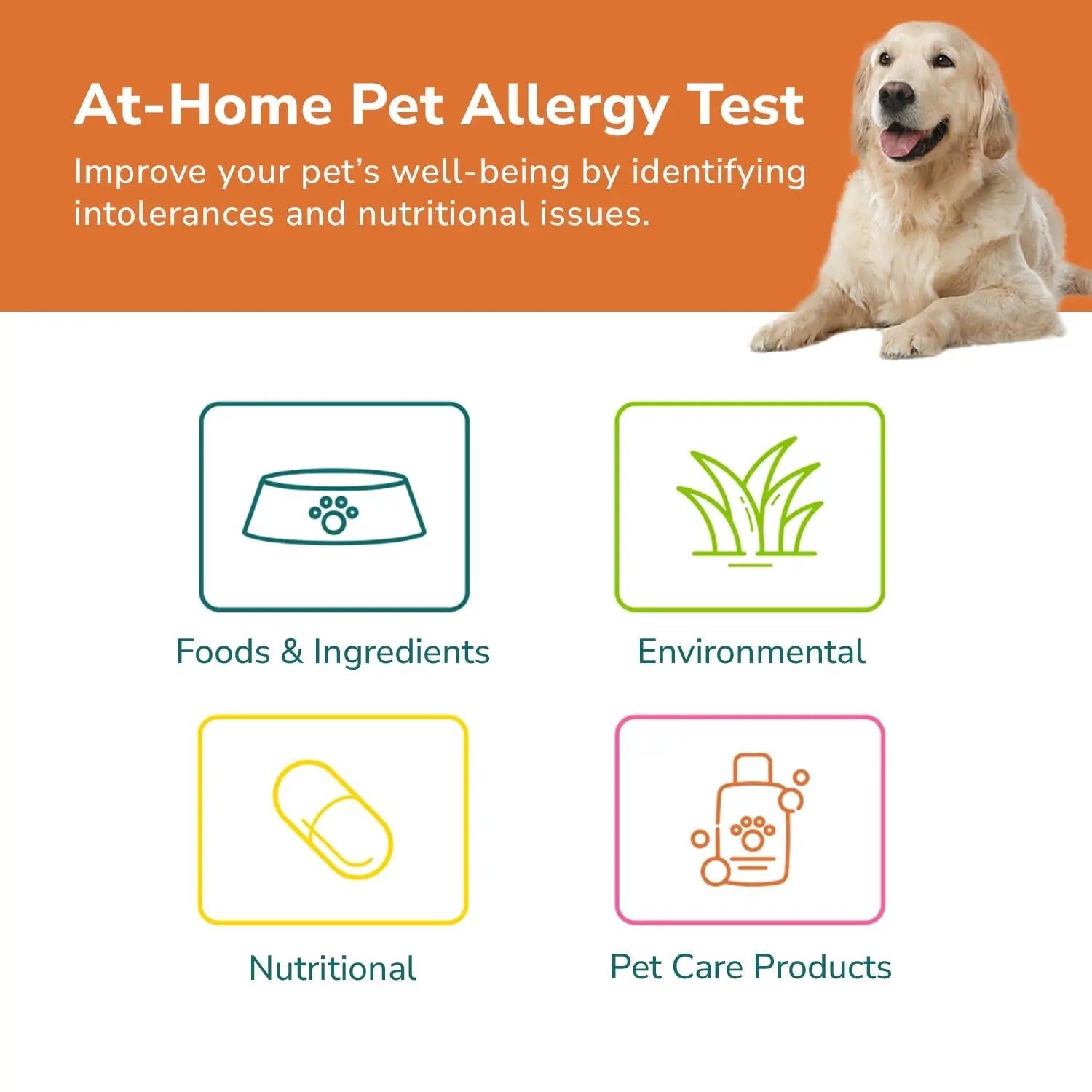 TotalVet Dog Allergy +1000 Food & Nutritional Sensitivity Test, Pet Intolerance Kit at Home — Advanced Complement to DNA Tests for Complete Pet Wellness - Maple Wellness Supplements