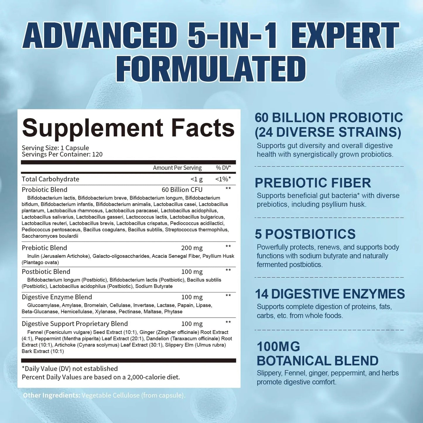 Totaria (2 Packs) 5-in-1 Probiotic Prebiotic & Postbiotic for Women Men, 60 Billion CFU 24 Strains w/Digestive Enzymes, Slippery Elm, Daily Complete Gut Health, Digestive & Immune Support - Maple Wellness Supplements