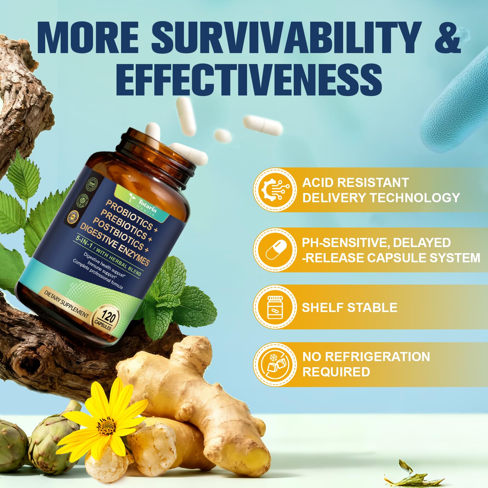 Totaria 5-in-1 Probiotic Prebiotic & Postbiotic for Women Men, 60 Billion CFU 24 Strains w/Digestive Enzymes, Prebiotic Fiber, Slippery Elm - Maple Wellness Supplements