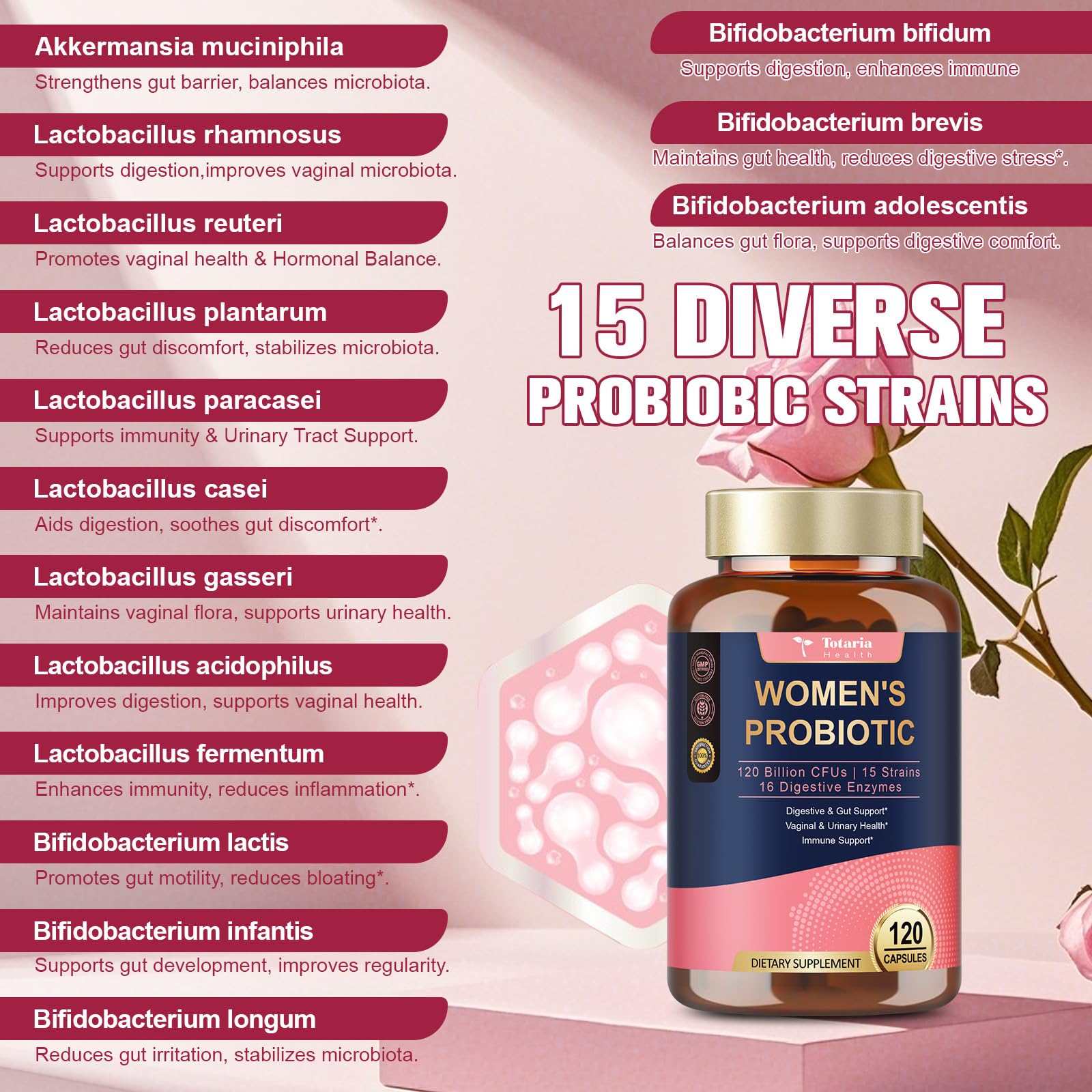 Totaria Probiotics for Women, 120 Billion Women Probiotic, with Akkermansia, Digestive Enzymes & Prebiotics, Cranberry, D-Mannose, for Gut, Vaginal, Urinary - Maple Wellness Supplements
