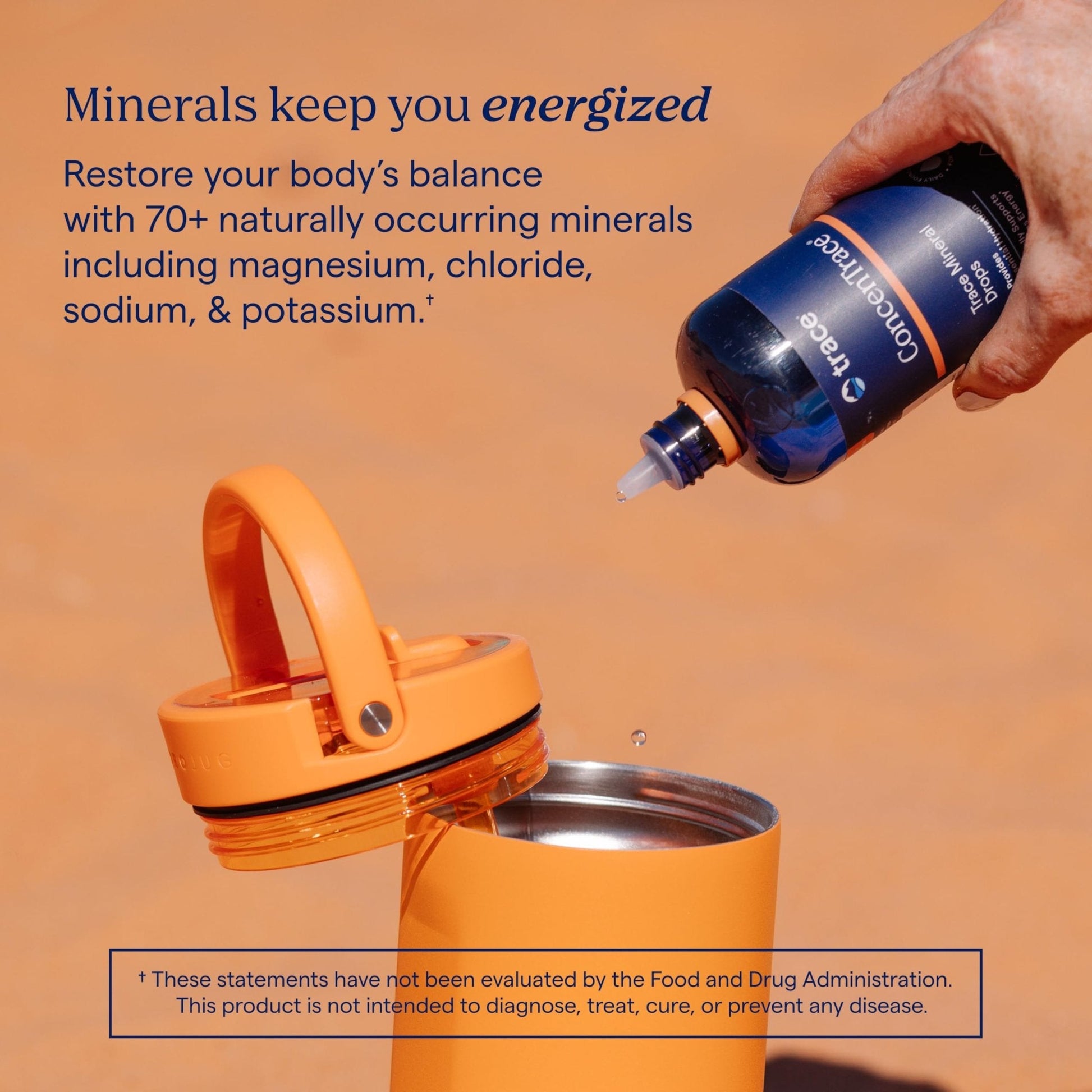 Trace Minerals ConcenTrace Trace Mineral Drops | Supports Energy, Digestion, Bone Health & Hydration, 70+ Ionic Trace Minerals w/Magnesium - Maple Wellness Supplements