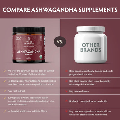 TRIBE ORGANICS Ashwagandha KSM 66 Pure Organic Root Powder Extract Ayurvedic Supplement - Focus, Mood Support, Increase Energy, Strength, 600mg of Natural KSM66 for Superior Absorption - 120 Capsules - Maple Wellness Supplements