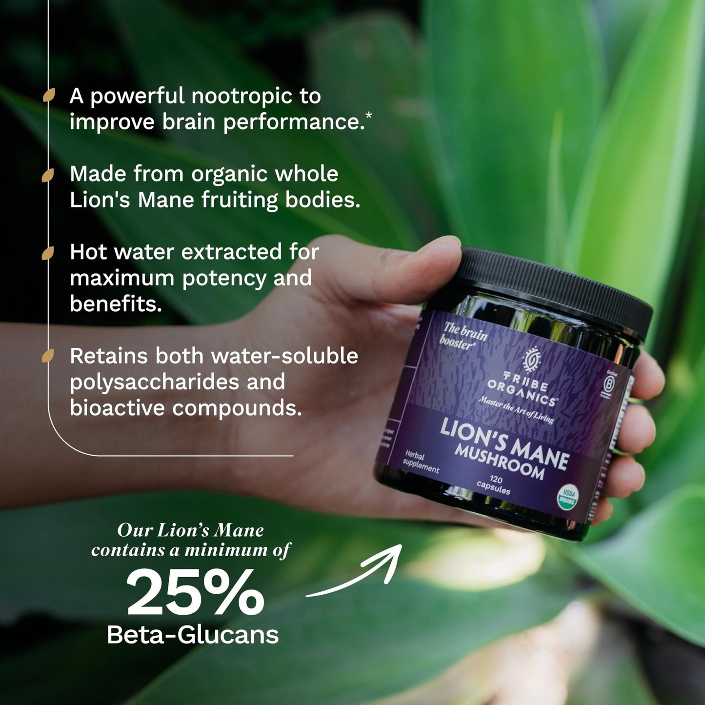 TRIBE ORGANICS Lion’s Mane Supplement 1000mg Mushroom Extract Powder - Immune System Booster & Brain Nootropic for Focus and Memory | Mental Clarity | Natural Energy and Immunity - 120 Vegan Capsules - Maple Wellness Supplements