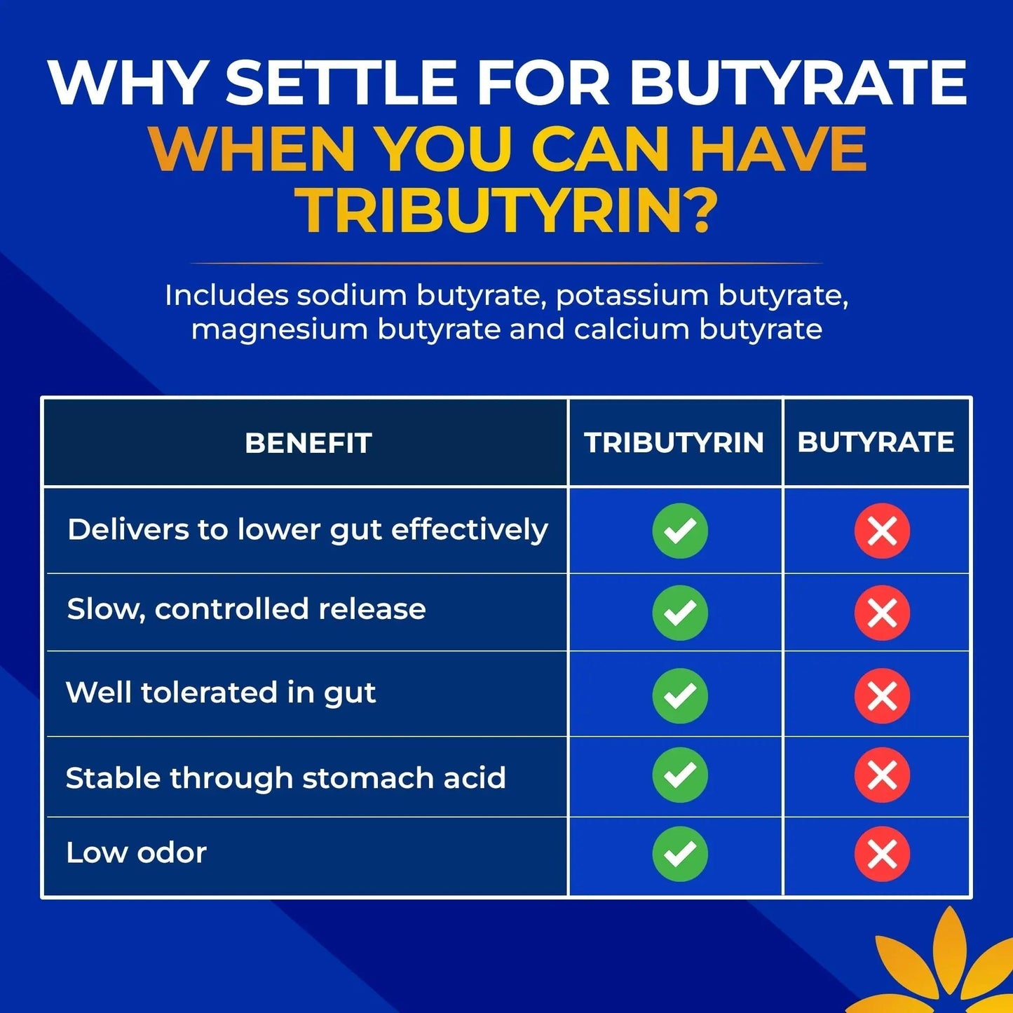Tributyrin Supplement - Better Delivery & More Effective than Sodium Butyrate - Gut Health & Digestive Support - 3-in-1 Butyrate Postbiotics for Leaky Gut & Gut Barrier Support - 30 Capsules - Maple Wellness Supplements