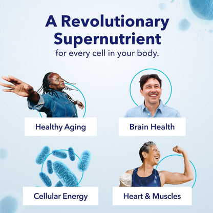 TRU NIAGEN Patented NAD Supplement for Brain Function, Anti Aging & Cell Regeneration, 300mg Niagen, 30 Servings | Supports Cellular Energy, Muscle - Maple Wellness Supplements
