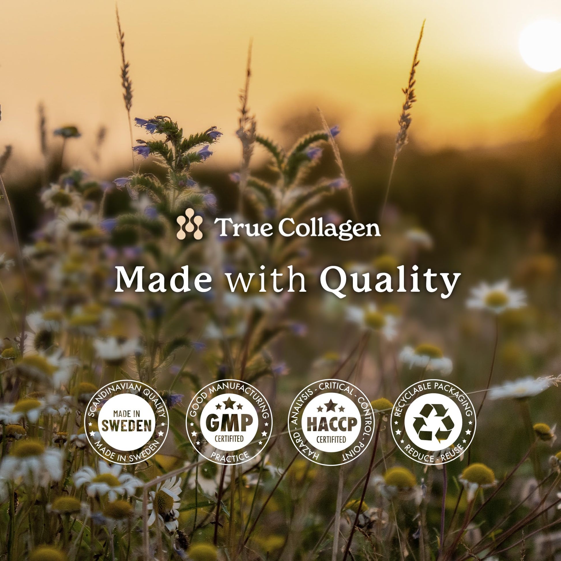 True Collagen Joints | 10,000 mg Hydrolyzed Collagen Liquid Supplement - 500 ml, 20 Day Supply | Glucosamine, MSM and Chondroitin for Healthy Joints | Fat-Free, Sugar-Free, 100% Natural Berry Flavor - Maple Wellness Supplements