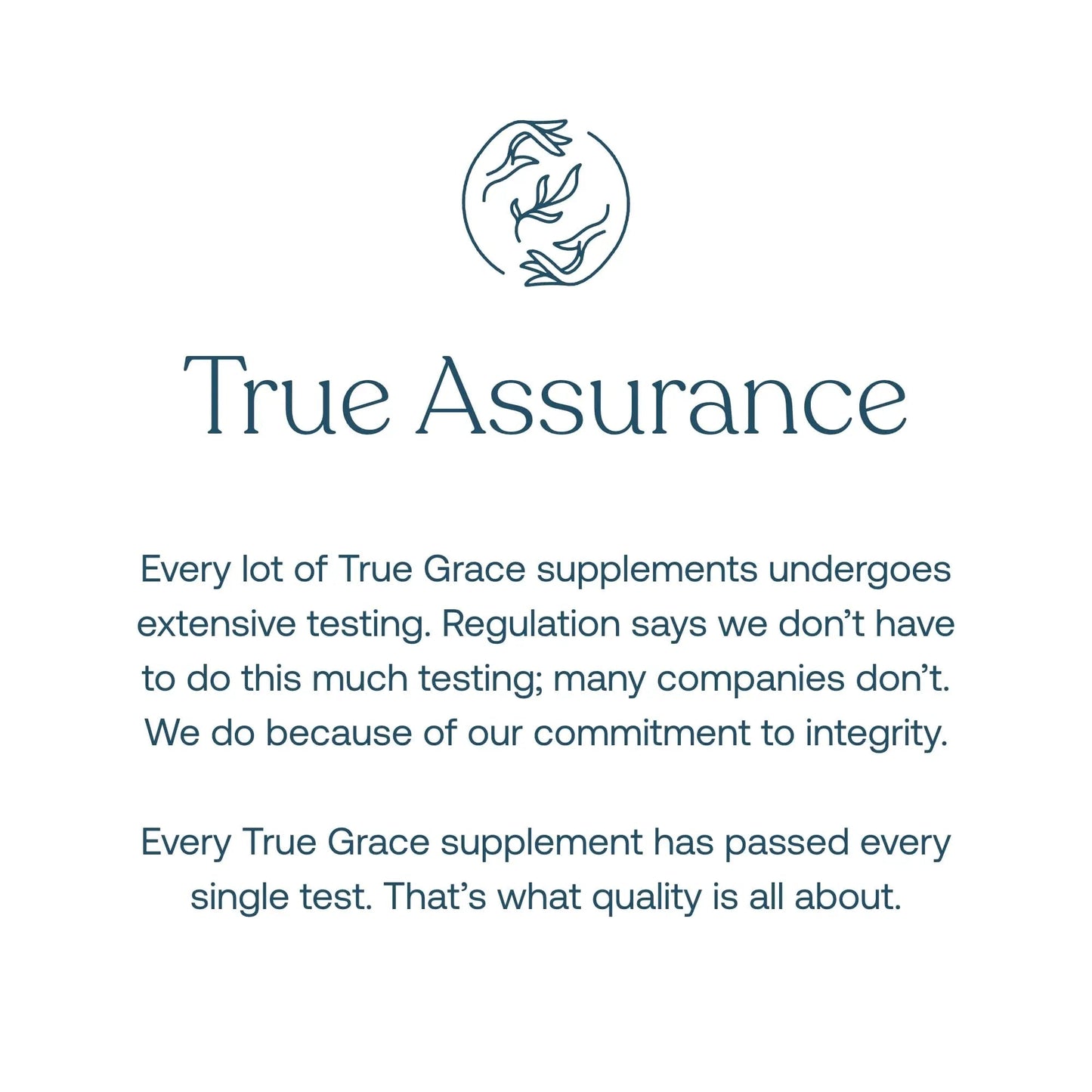 True Grace Daily Men’s Multivitamin 50+ - 60 Easy-to-Swallow Tablets - Immune, Energy, Longevity & Memory Support - Maple Wellness Supplements
