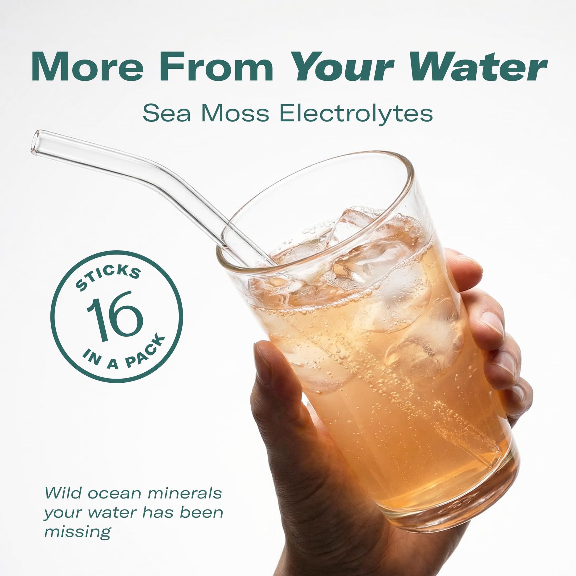 TrueSeaMoss Electrolytes Powder Packets – Made in USA – 16 Stickpacks – Hydration Powder with Sea Moss with Potassium – No Sugar Drinks – Variety Pack - Maple Wellness Supplements
