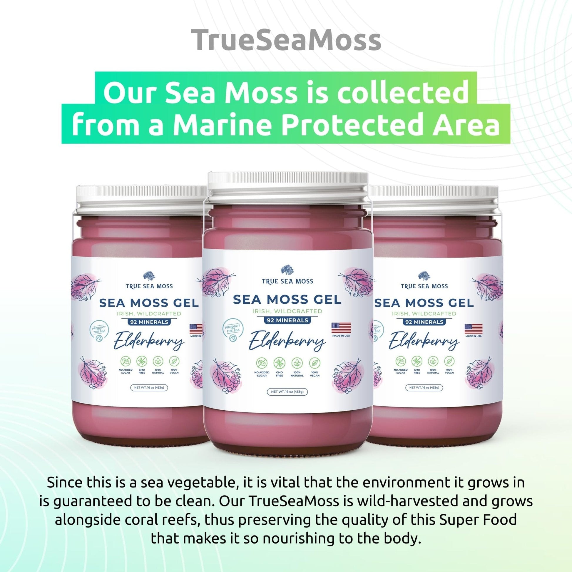 TrueSeaMoss Wildcrafted Irish Sea Moss Gel – Nutritious Organic Raw Seamoss Rich - Maple Wellness Supplements