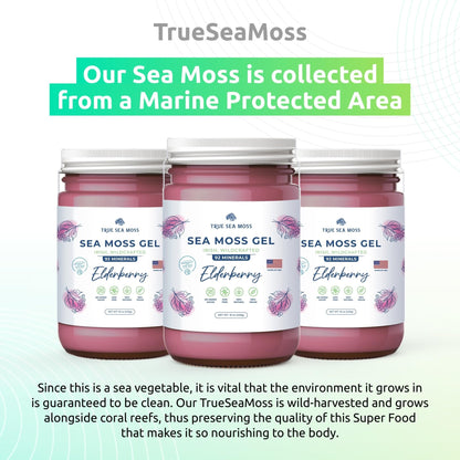 TrueSeaMoss Wildcrafted Irish Sea Moss Gel – Nutritious Organic Raw Seamoss Rich - Maple Wellness Supplements