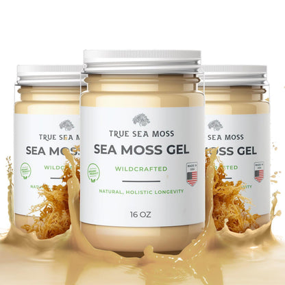 TrueSeaMoss Wildcrafted Irish Sea Moss Gel – Nutritious Raw Seamoss Rich in Minerals - Maple Wellness Supplements
