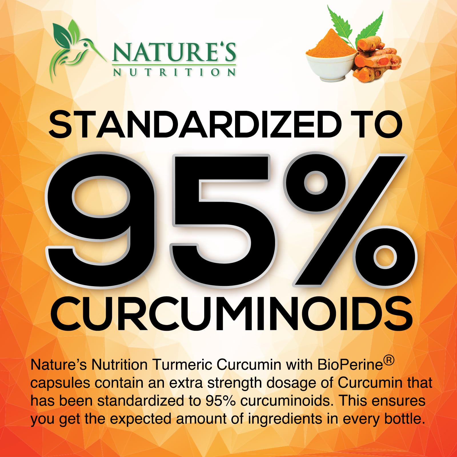 Turmeric Curcumin Supplement - 95% Curcuminoids with Organic Turmeric & BioPerine Black Pepper for Best Absorption - Daily Joint & Immune Health Support - Maple Wellness Supplements