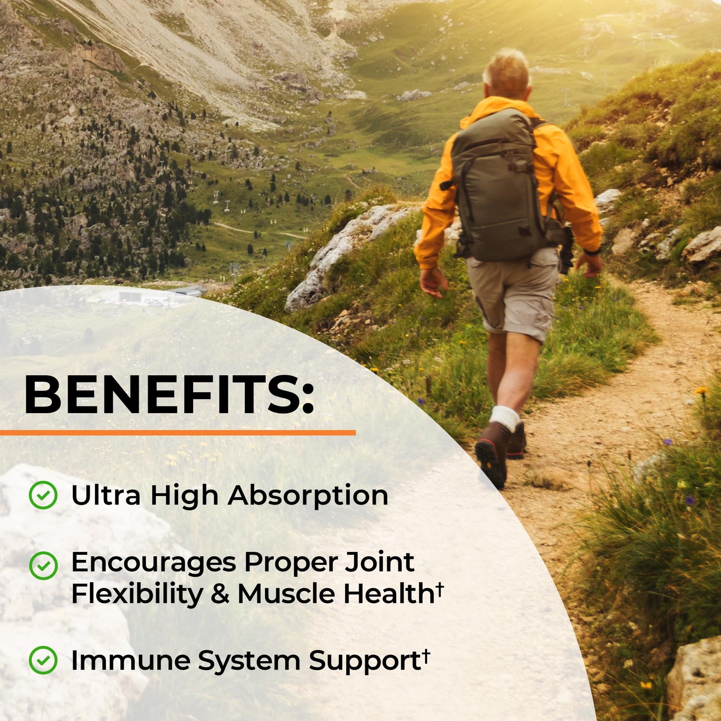 Turmeric Curcumin with Black Pepper Extract 1500mg - High Absorption Ultra Potent Turmeric Supplement with 95% Curcuminoids and BioPerine - Maple Wellness Supplements