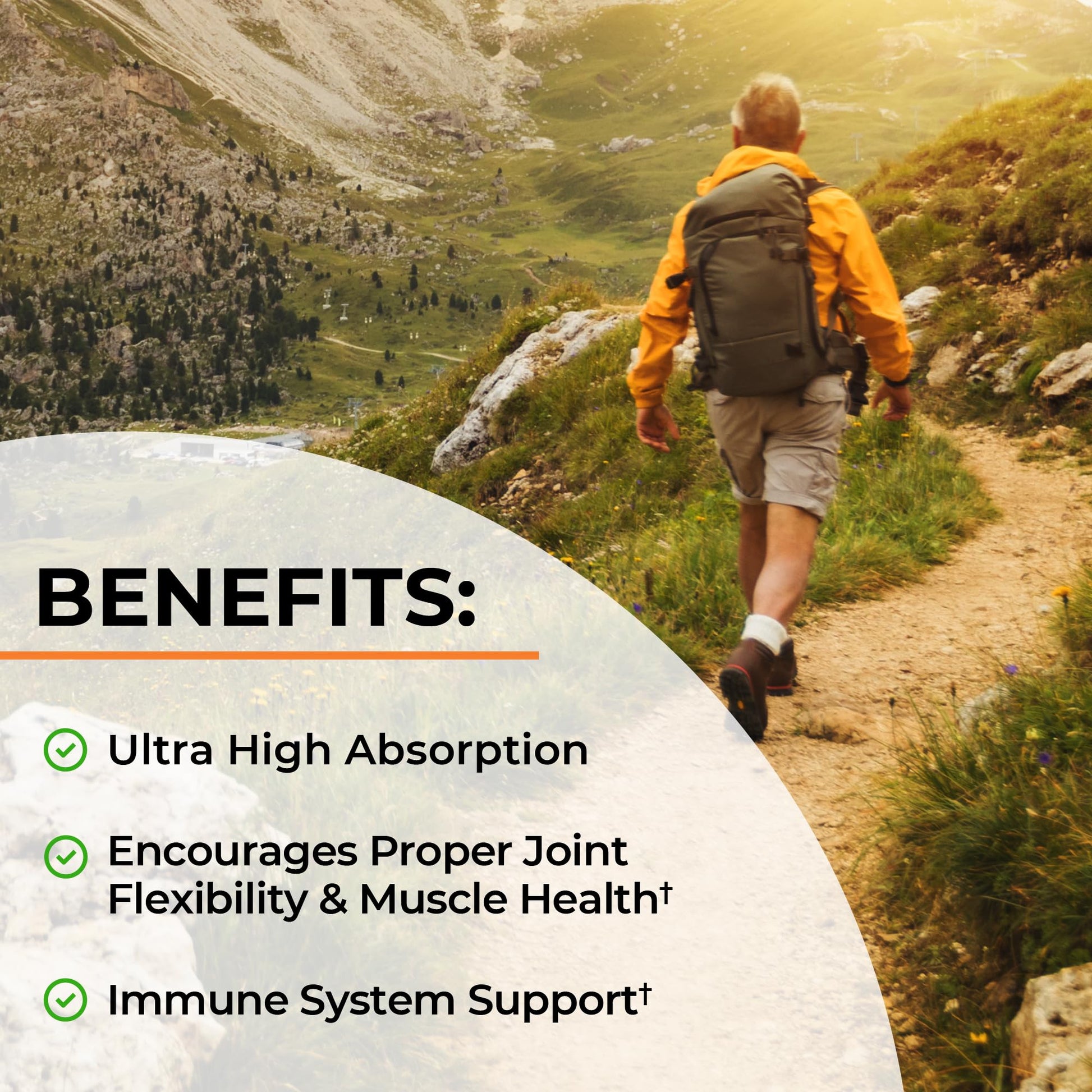 Turmeric Curcumin with Black Pepper Extract 1500mg - High Absorption Ultra Potent Turmeric Supplement with 95% Curcuminoids and BioPerine - Maple Wellness Supplements