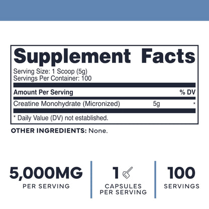 Type Zero Creatine Monohydrate Powder (Unflavored | 500g), 5000 mg Per Serving, Micronized, Zero Sugar, Keto Friendly & Gluten Free, 100 Servings - Maple Wellness Supplements
