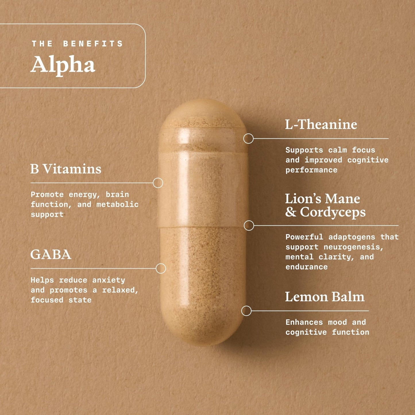 Ultra Life Sport - Alpha Nootropic - 30 Capsule Body and Brain Supplements for Memory and Focus - L-Theanine, B Vitamins, Lion's Mane, Cordyceps Mushrooms, Vitamin D3, K2 MK-7, Lemon Balm and Ginkgo - Maple Wellness Supplements