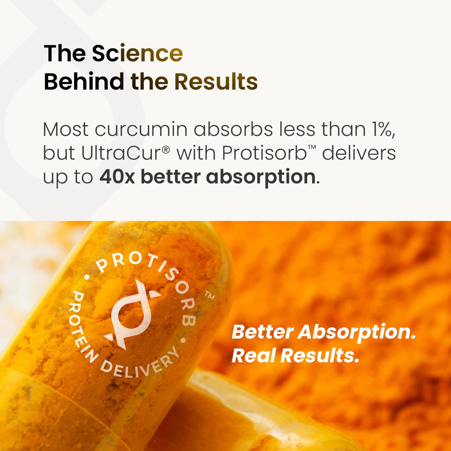 UltraCur Curcumin Complex Supplement - Ultra Bioavailable High Absorption Turmeric Curcumin Supplement for Joint, Muscle & Brain Support - Patented Protisorb for Premium Absorption – 120 Capsules - Maple Wellness Supplements