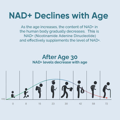 UltraViat NAD+ Supplement 1000mg, Premium NAD+ & Resveratrol Complex for Energy & Anti Aging - 120 Capsules - Maple Wellness Supplements