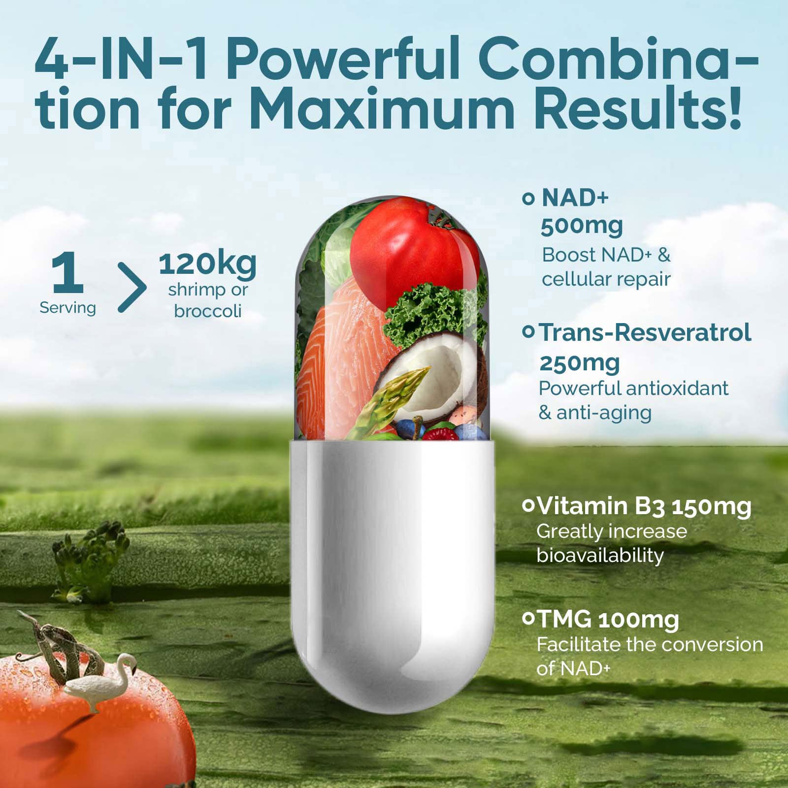 UltraViat NAD+ Supplement 1000mg, Premium NAD+ & Resveratrol Complex for Energy & Anti Aging - 120 Capsules - Maple Wellness Supplements