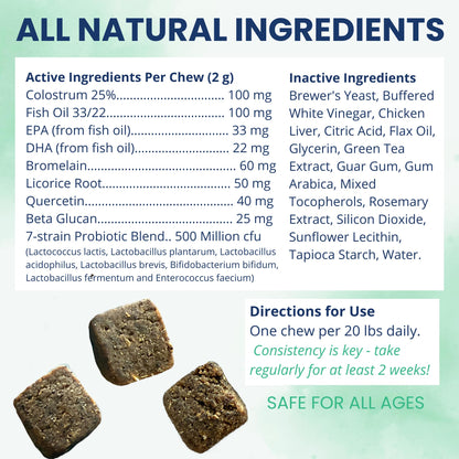 Under the Weather Allergy & Itch Pet Allergy Chews for Dogs | Vet Formulated Skin Support for Canines | Soothing Dog Allergies and Itching Relief Supplement | 60 Count - Maple Wellness Supplements
