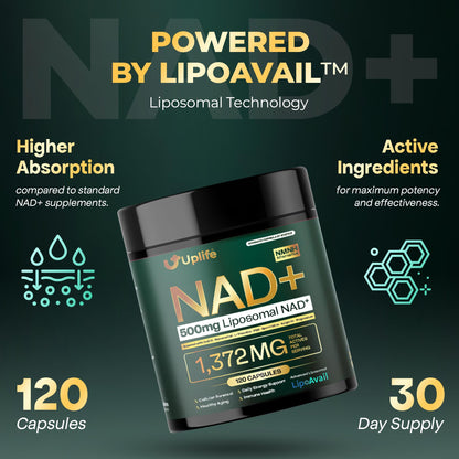 UPLIFE NAD+ Supplement 1,372mg – Liposomal NAD+ with CoQ10, Resveratrol, Spermidine, L-Theanine, Apigenin & PQQ – NMNH Alternative Booster Cellular Energy, Healthy Aging, Immune Health – 120 Capsules - Maple Wellness Supplements