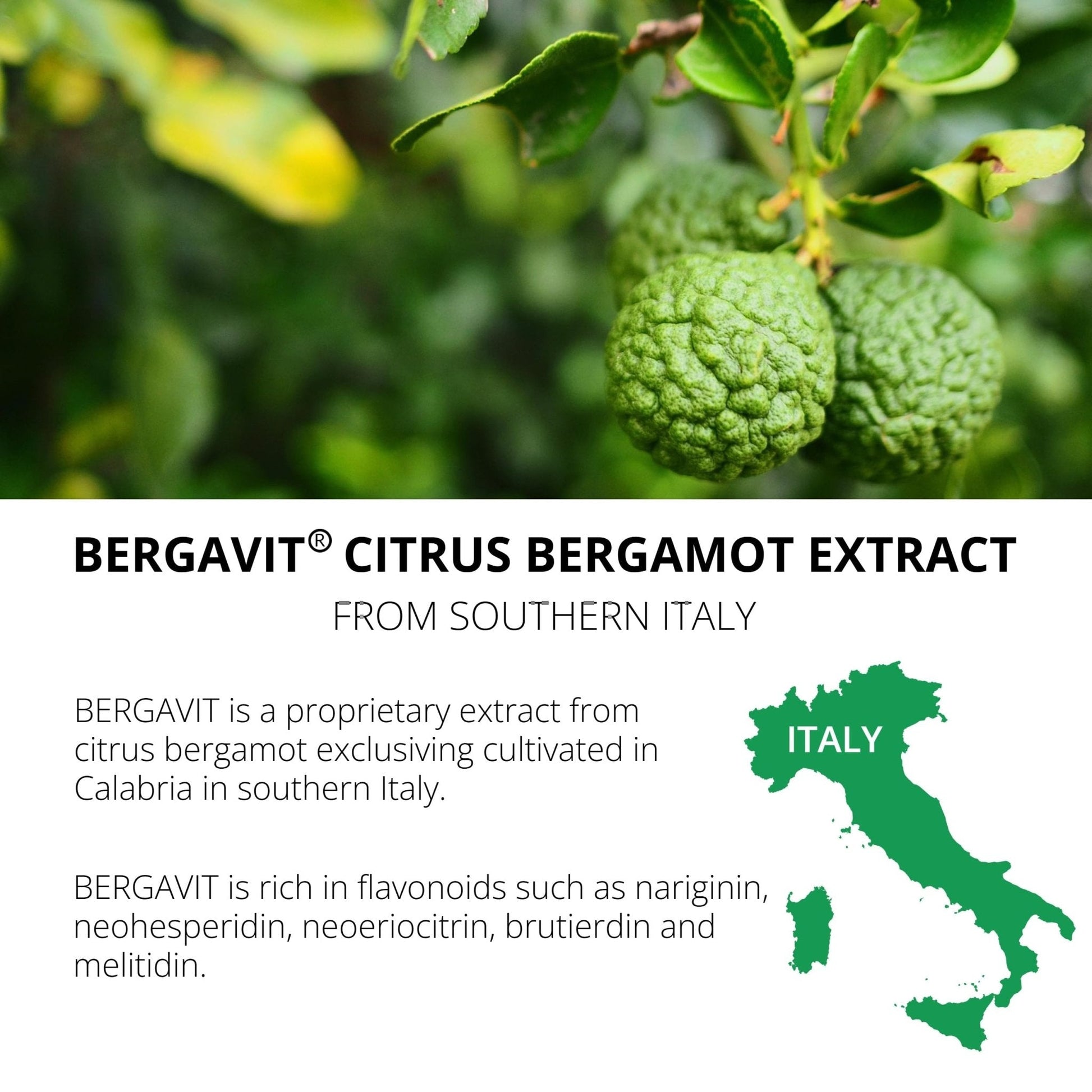 UpNourish BERGAVIT Citrus Bergamot Cholesterol Supplement - Italian Citrus Bergamot Extract 550mg for Women and Men 90 Vegan Capsules - Maple Wellness Supplements