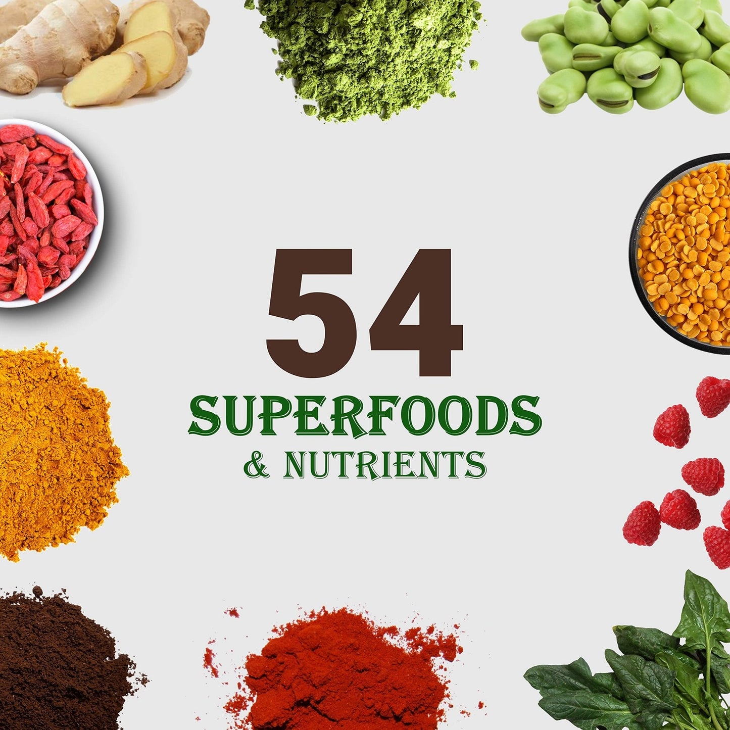 UpNourish Chocolate Vegan Protein Powder 54 Superfoods Powder,1.5 Billion CFU Probiotics 21g Plant Based Protein,No Sugar No Dairy No GMO Dairy Free,Meal Replacement Shake Keto-Friendly Low-Carb Diet,15 Servings - Maple Wellness Supplements