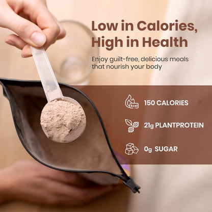 UpNourish Chocolate Vegan Protein Powder 54 Superfoods Powder,1.5 Billion CFU Probiotics 21g Plant Based Protein,No Sugar No Dairy No GMO Dairy Free,Meal Replacement Shake Keto-Friendly Low-Carb Diet,15 Servings - Maple Wellness Supplements