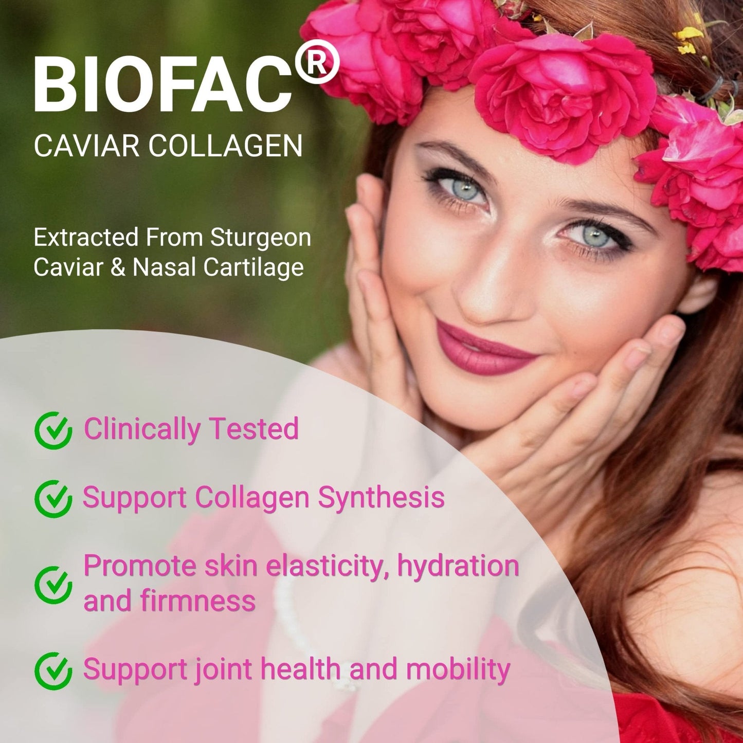 UpNourish Probiotics, Caviar Collagen with Prebiotics for Women's Digestive, Skin Radiance, and Feminine Health with Cranberry - Maple Wellness Supplements