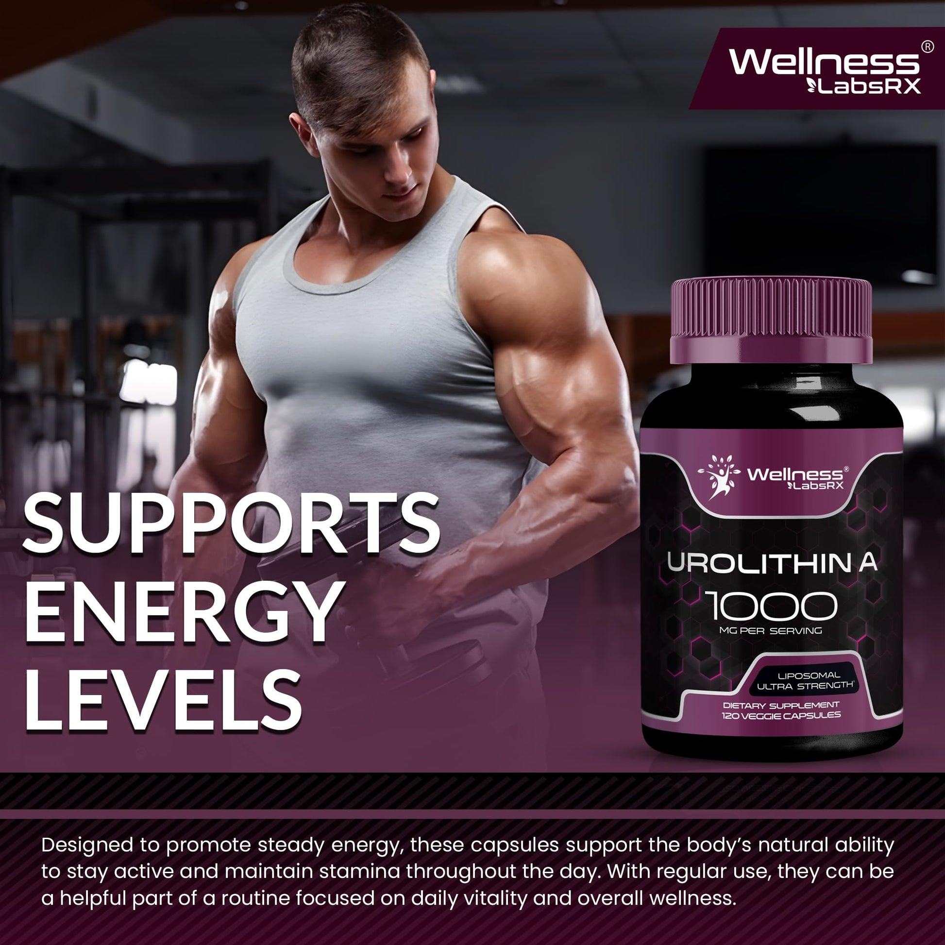 Urolithin A Supplement Capsules 1,000mg (98.9% Pure) – Advanced Urolithin A+ Formula for Cellular Renewal & Mitochondrial Support - Maple Wellness Supplements