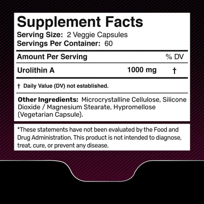 Urolithin A Supplement Capsules 1,000mg (98.9% Pure) – Advanced Urolithin A+ Formula for Cellular Renewal & Mitochondrial Support - Maple Wellness Supplements