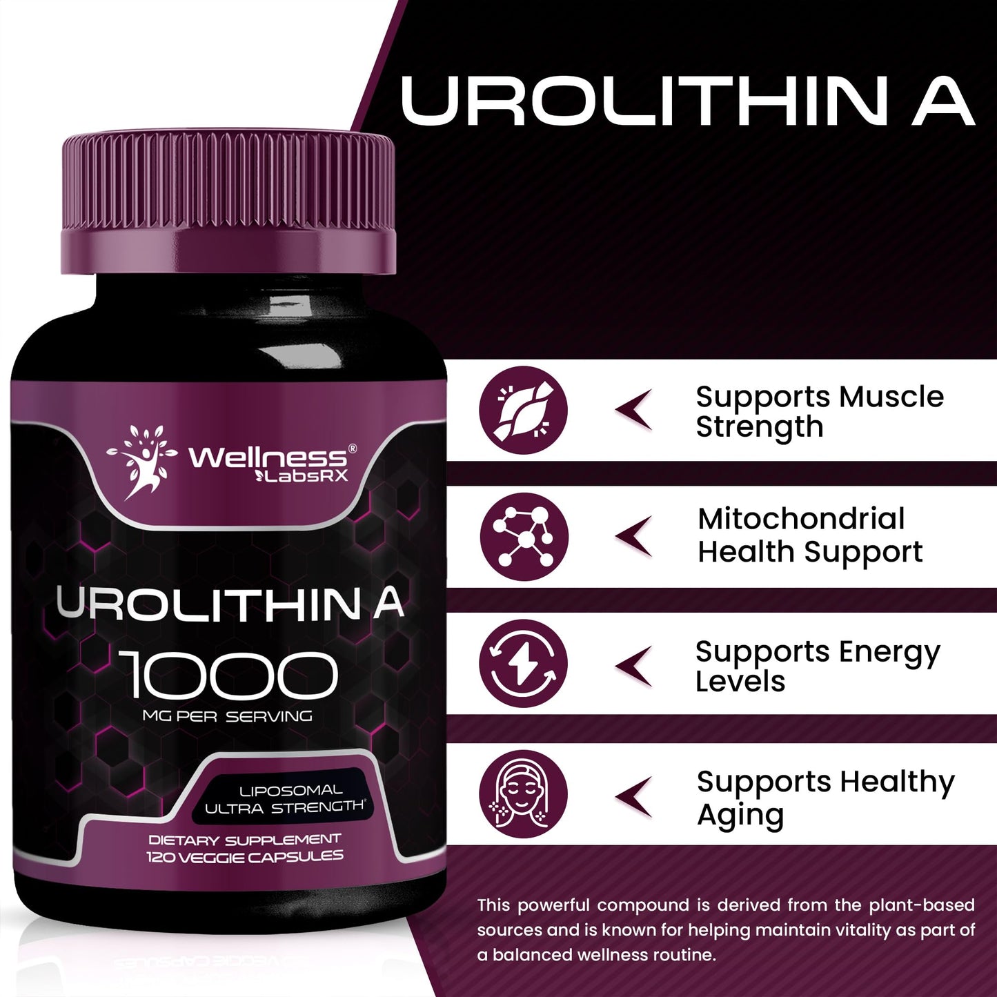 Urolithin A Supplement Capsules 1,000mg (98.9% Pure) – Advanced Urolithin A+ Formula for Cellular Renewal & Mitochondrial Support - Maple Wellness Supplements