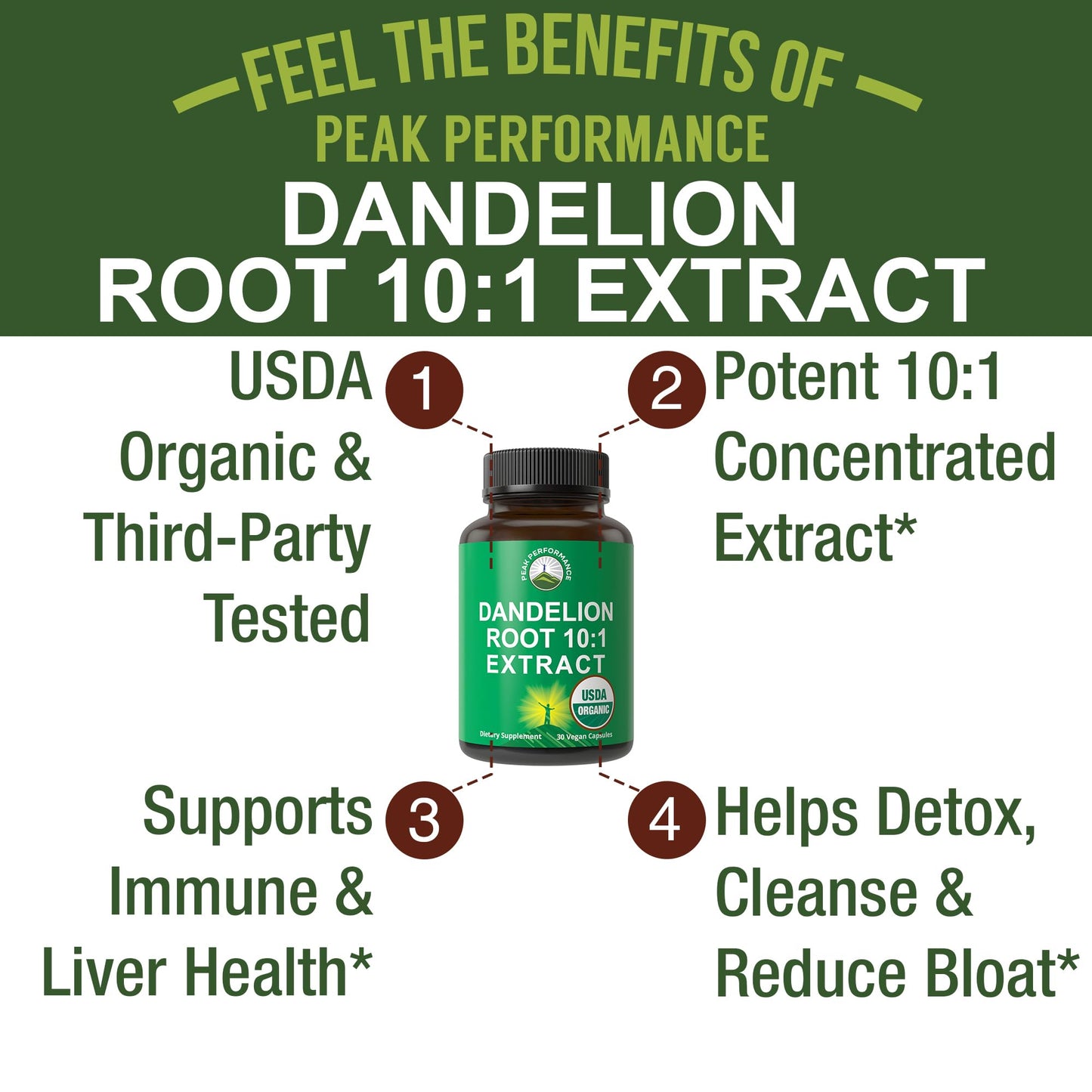 USDA Organic Dandelion Root Extract Supplement - 10x More Potent Than Raw Root. Standardized and Concentrated Vegan Dandelion Root Capsules for Women and Men. Supports Detox, Immune, Liver, Gut Health - Maple Wellness Supplements