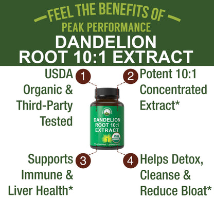 USDA Organic Dandelion Root Extract Supplement - 10x More Potent Than Raw Root. Standardized and Concentrated Vegan Dandelion Root Capsules for Women and Men. Supports Detox, Immune, Liver, Gut Health - Maple Wellness Supplements