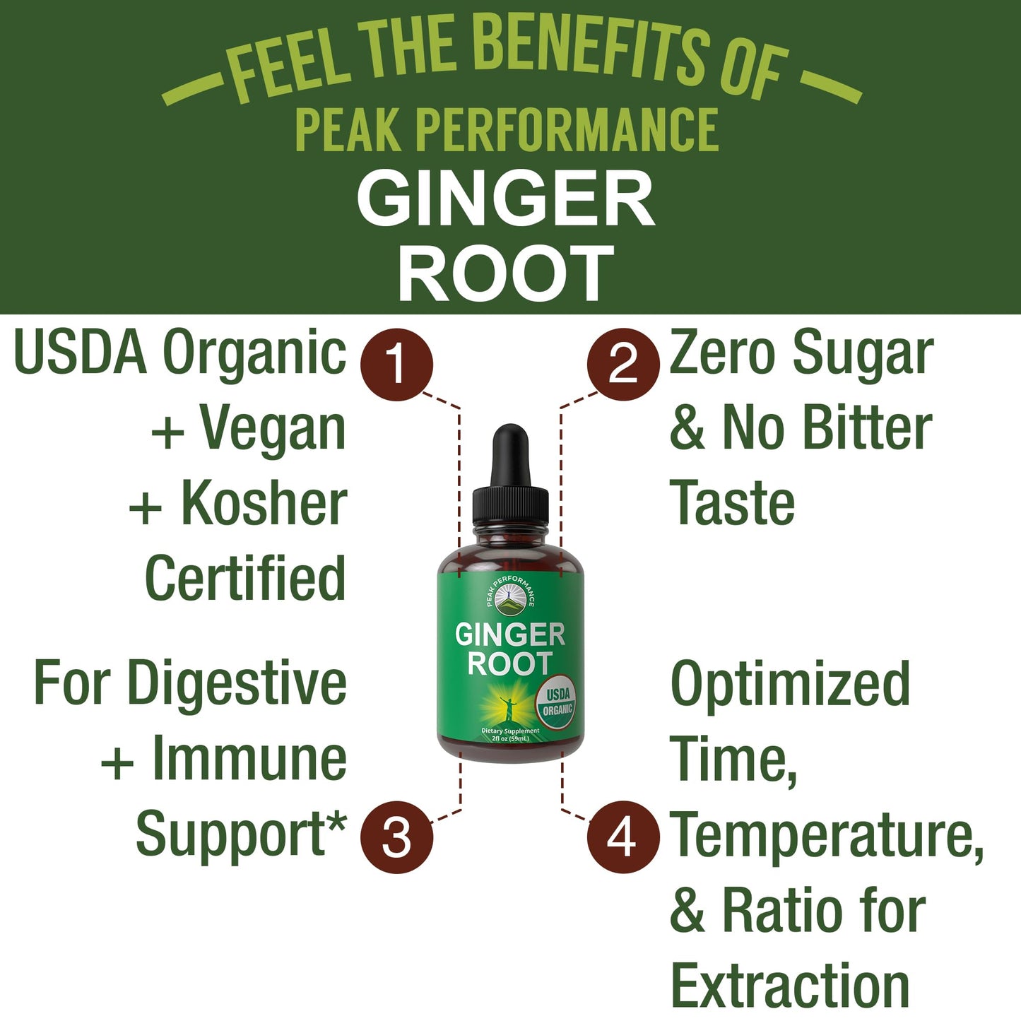 USDA Organic Ginger Root Extract Liquid Drops. Zero Sugar, Non Bitter Vegan Ginger Oil Supplement for Immune, Digestive + Gut Support. High Bioavailability, Gluten Free for Women and Men. Take Orally - Maple Wellness Supplements