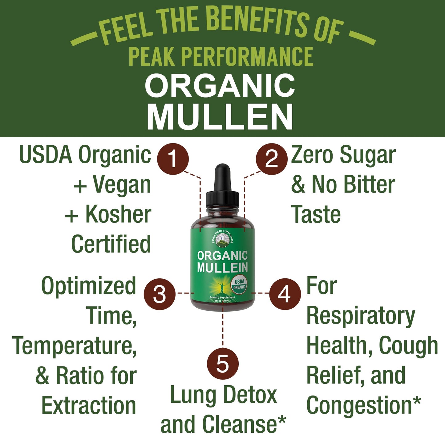 USDA Organic Mullein Leaf Drops for Lungs, Respiratory Health, Detox, Cleanse. High Bioavailability for Women, Men, Kids. Liquid Tincture Supplement. Sooth Lungs, Cough, Congestion. Vegan, Zero Sugar - Maple Wellness Supplements