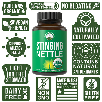 USDA Organic Stinging Nettle Vegan Capsules Made with Stinging Nettle Leaf Powder for Prostate, Hair Growth, Allergy. Better Than Root or Seed Extract. Plant Based Herb Supplement Tablets, 60 Pills - Maple Wellness Supplements