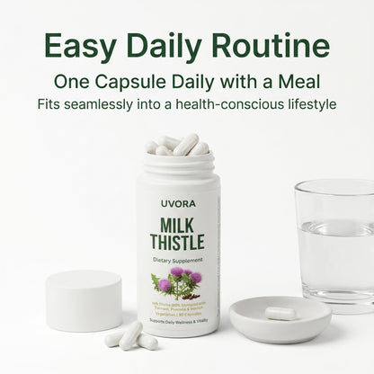 Uvora - Milk Thistle Extract,Uvora Premium Herbal Supplement with Milk Thistle Extract & Antioxidants – Supports Natural ification - Maple Wellness Supplements